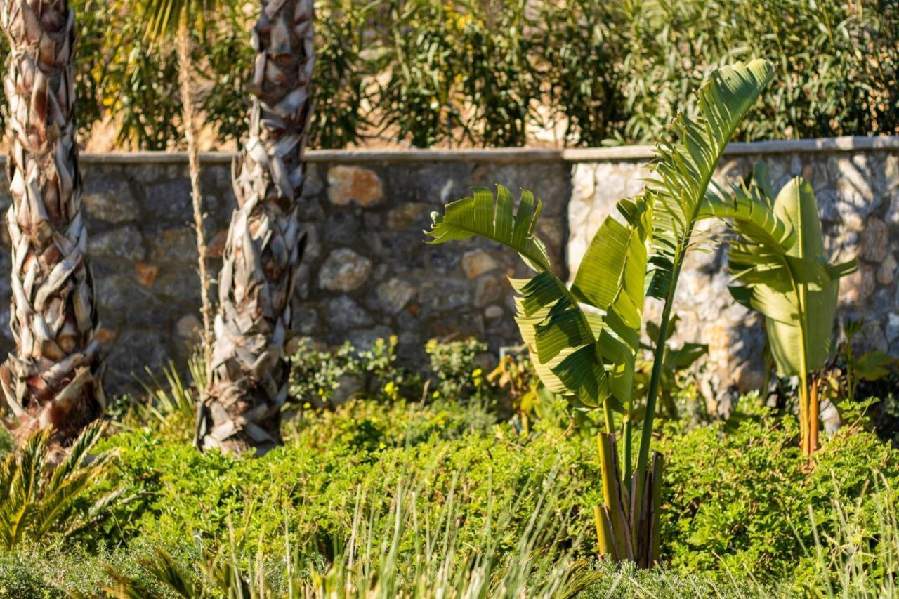 Istia Luxury Villas Karpathos Luaran gambar