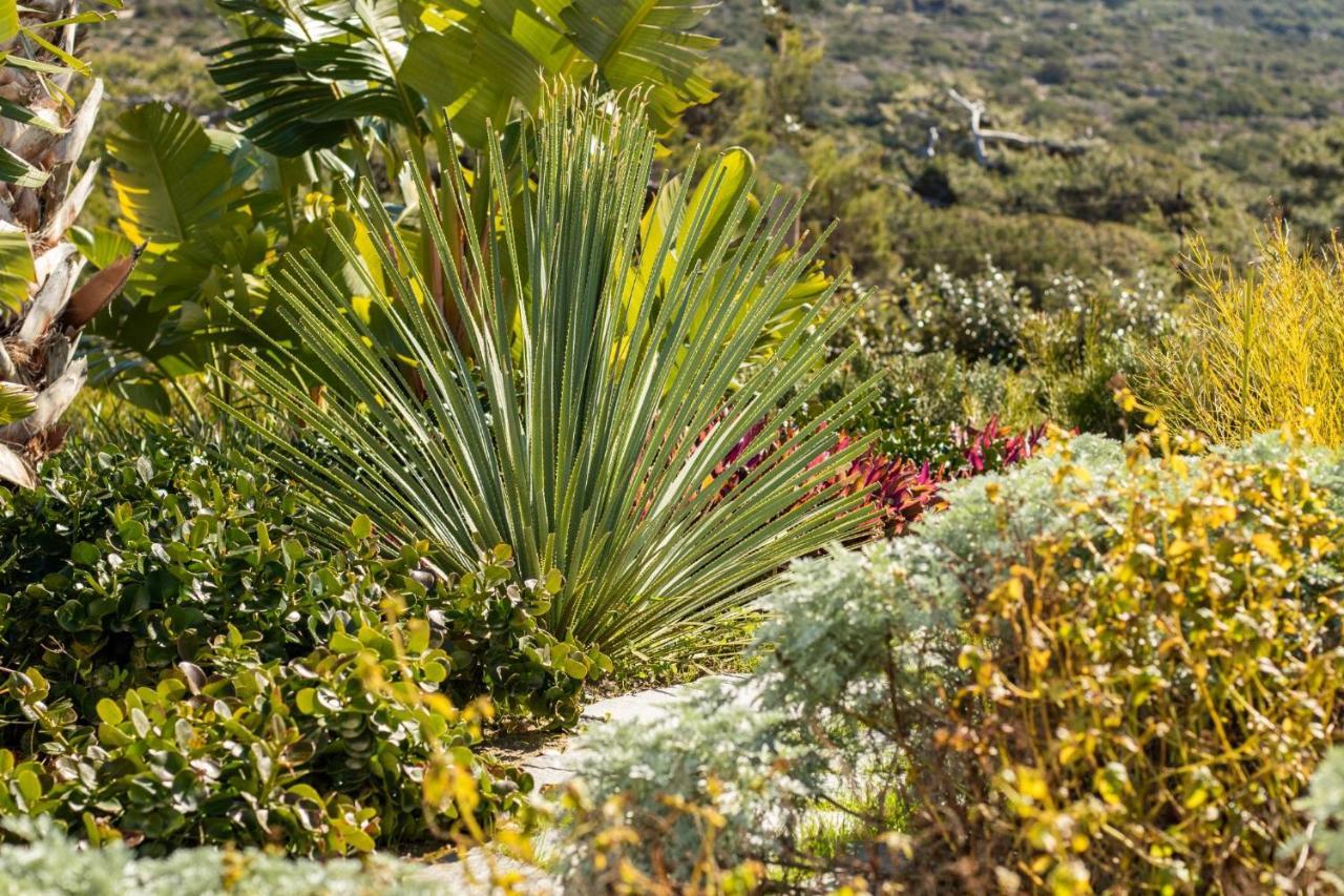 Istia Luxury Villas Karpathos Luaran gambar